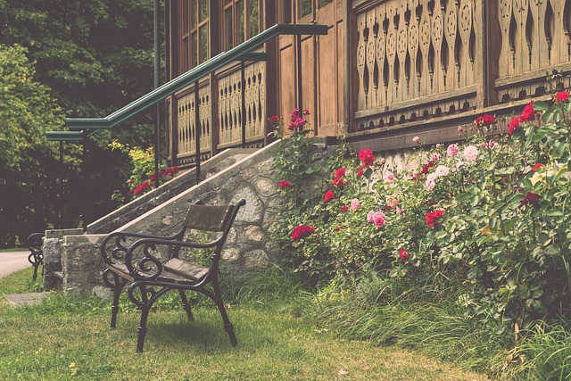 的生活方式 的生活方式