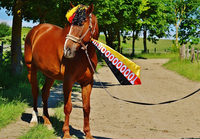 他的表现直 他的表现直